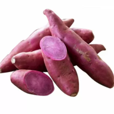 Khoai Lang Tím