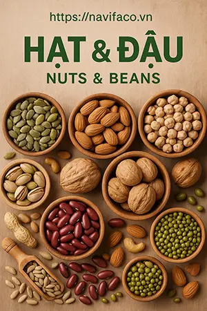 Hạt - đậu