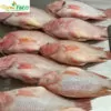 Cá Diêu Hồng