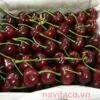 Cherry Canada