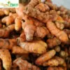 Củ nghệ vàng
