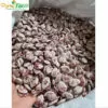 Đậu ngự MS007