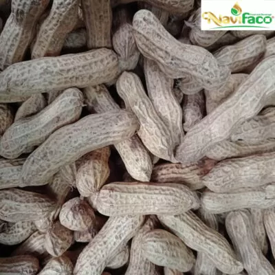 Đậu phộng nguyên vỏ ( củ lạc ) MS004