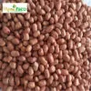 Đậu phộng đã tách vỏ ( củ lạc ) MS003