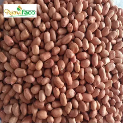 Đậu phộng đã tách vỏ ( củ lạc ) MS003