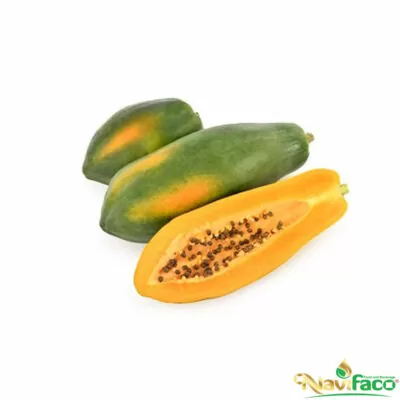 Đu đủ ruột vàng MS001