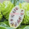 Nhàu tươi loại 1 MS001
