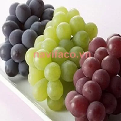 Nho phan rang MS001