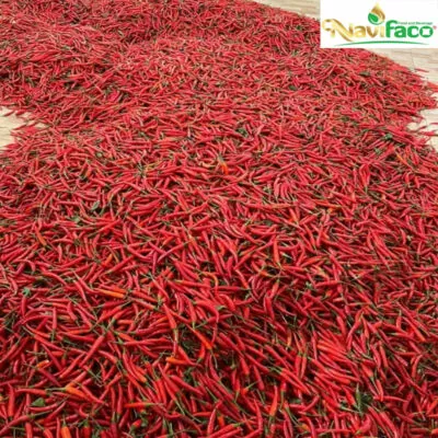 Ớt sạch Ngân Việt