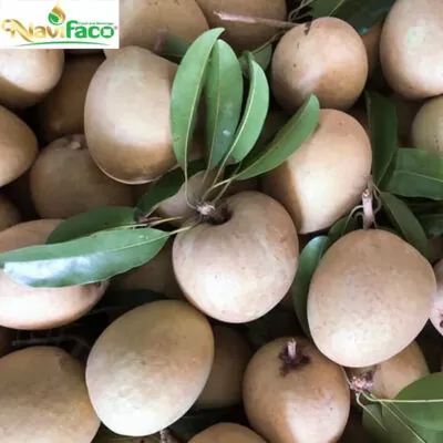 Sapoche dùng sản xuất nước trái cây